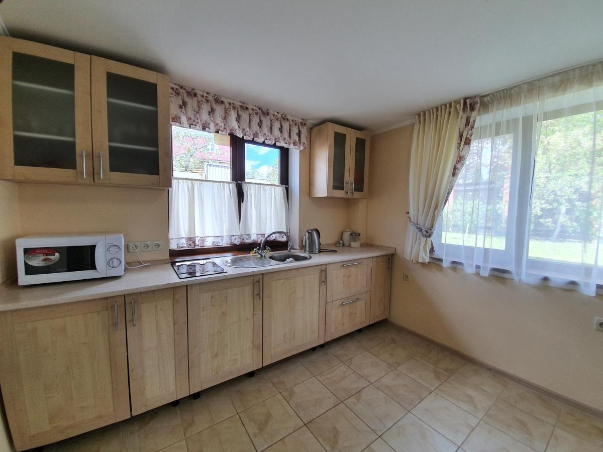 Dacha Koncha Zaspa Kozyn Zewnętrze zdjęcie